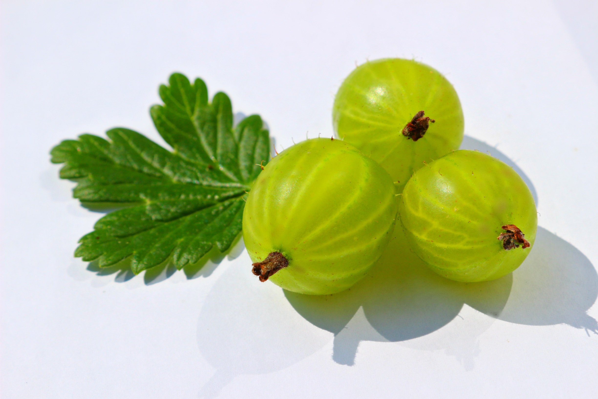 Gooseberry