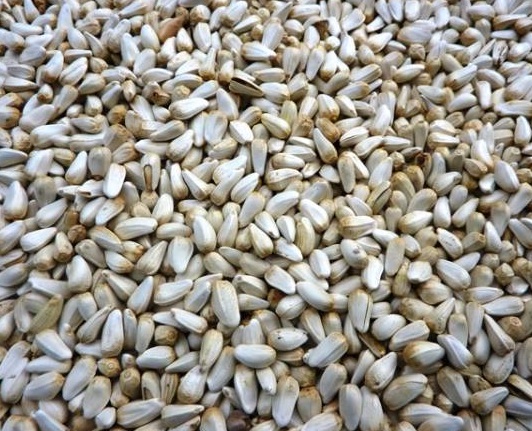 Safflower Seeds