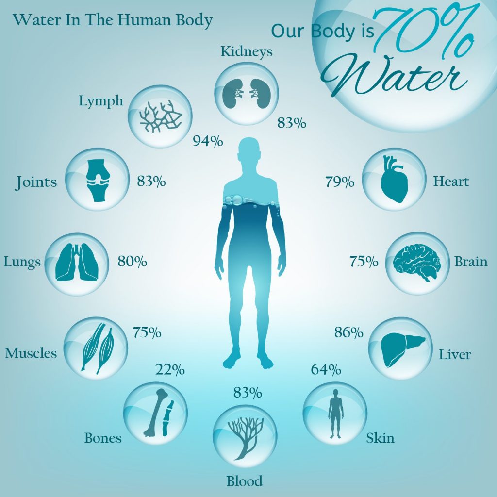 Why Is Water S High Heat Capacity Important To Living Things